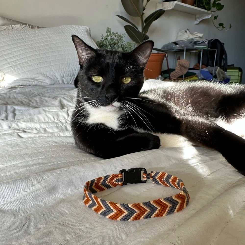 Handmade Friendship Bracelet Cat Collars